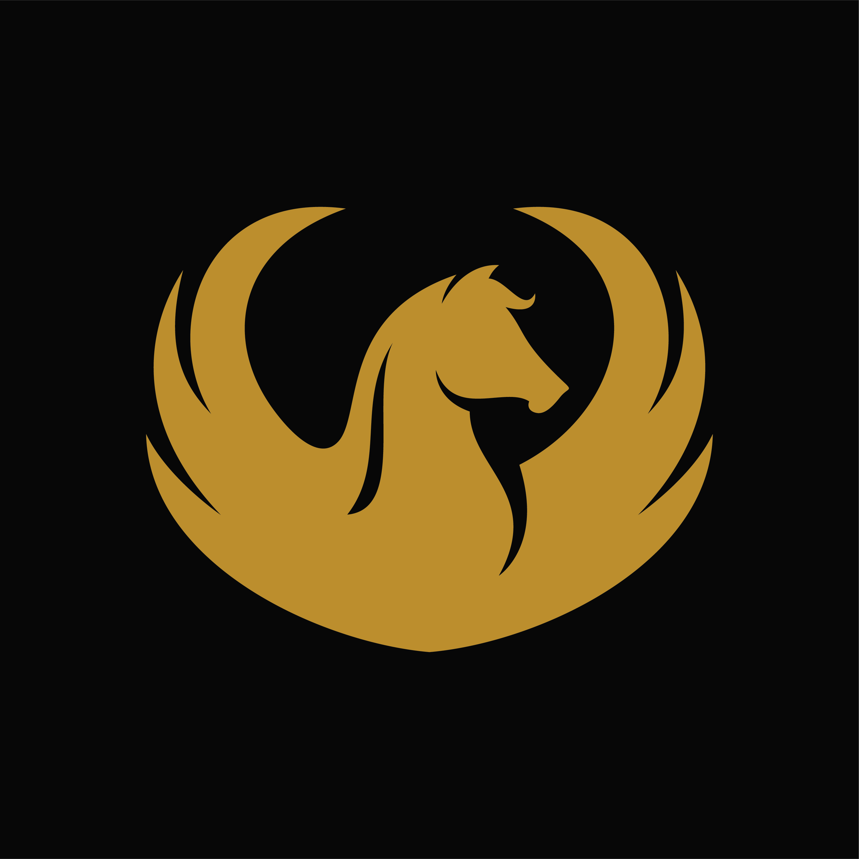 Pegasus Development